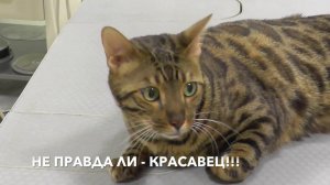 Неудачный полёт