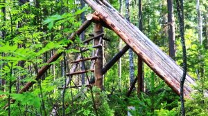 ПОСТРОЙКА ЛЕСНОЙ ХИЖИНЫ В ГЛУХОЙ ТАЙГЕ, ТАЁЖНЫЙ БЫТ.