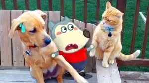 Мультики для детей .Детские мультики.Яркие мультики