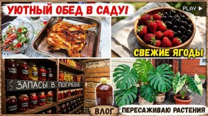 Навожу ПОРЯДОК в погребе. Как ИИ помогает в кулинарии?Мои убеждения ПОМЕНЯЛИСЬ!