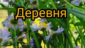 ДЕРЕВНЯ🤦 НАКЛАДКА СО ЗВУКОМ 🔈ПРОШУ ИЗВИНИТЬ🙏 🥰