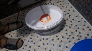 Как правильно замешать краситель с краской Колеровка краски своими руками