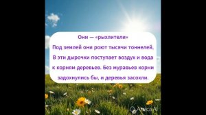 ДЛЯ ЧЕГО НУЖНЫ МУРАВЬИ?