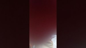 1.mp4
