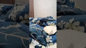 Смотрю что Вы там мне понаписали