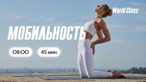 МОБИЛЬНОСТЬ с Альбертом Даниловым |1 июля 2026 | Онлайн-тренировки World Class