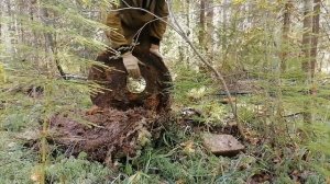 В поисках металла.Болотный экскаватор нарушил все планы.