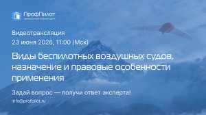 Виды беспилотных воздушных судов, назначение и правовые особенности применения