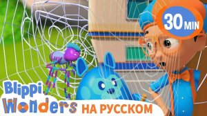 Паутина вокруг нас Блиппи Детская площадка