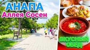 Анапа Высокий берег. Прогулка с галечного пляжа Высокий берег по Аллее сосен у проспекта Революции.