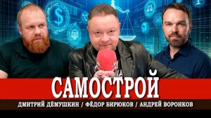 Новые социальные формы, или Как создать своё криптогосударство | Дёмушкин | Воронков | Бирюков