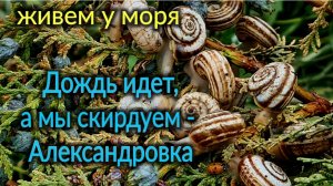 Александровка - дождь идет, а мы скирдуем! Огород на юге. Ремонт и работа Олега.
