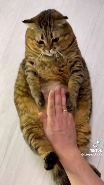 1000046258.mp4 смотреть онлайн