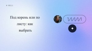 Под корень или по листу – какие подкормки эффективнее