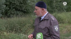 Осторожно – амброзия!