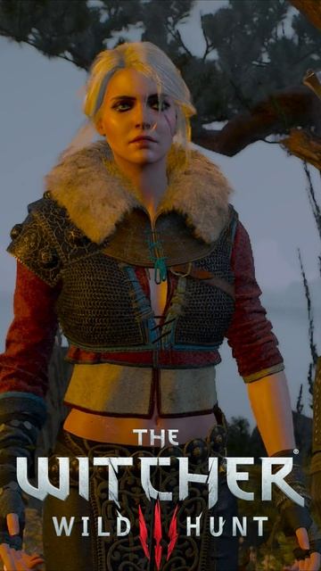 Я НЕ КАКАЯ ТО ДЕВКА. Цири на могиле Скьялля. The Witcher 3 - Wild Hunt #shorts