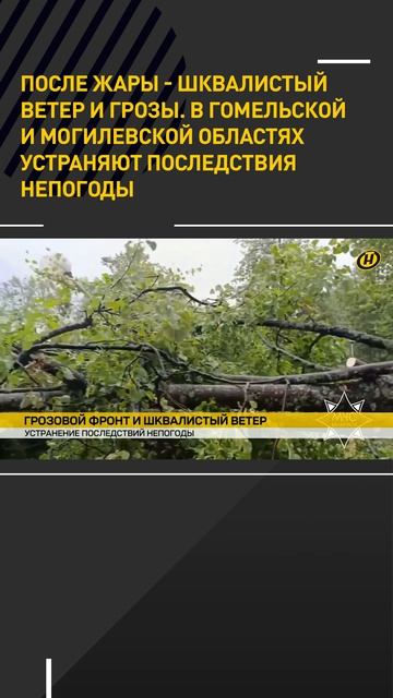 После аномальной жары – грозы и шквалы. В Беларуси устраняют последствия непогоды