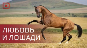 Воспитанники ЦВСНП МВД по РД посетили конюшню «Дагестанская»