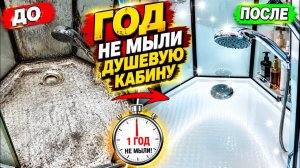 ГОД НЕ МЫЛИ ДУШЕВУЮ КАБИНУ 😱 Известковый налет исчез за 1 минуту!