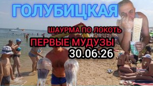 🔥ГОЛУБИЦКАЯ🔥УЖЕ МЕДУЗЫ??😱Не рано?😭😭 #голубицкая #азовскоеморе #голубицкая2026