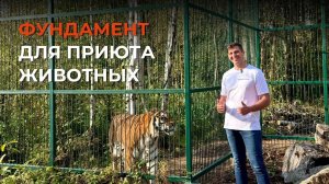 Свайный фундамент для приюта животных / Дом Тигра - Tiger House