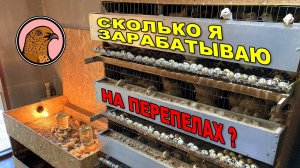 ВЫГОДНО ЛИ РАЗВОДИТЬ ПЕРЕПЕЛОВ?