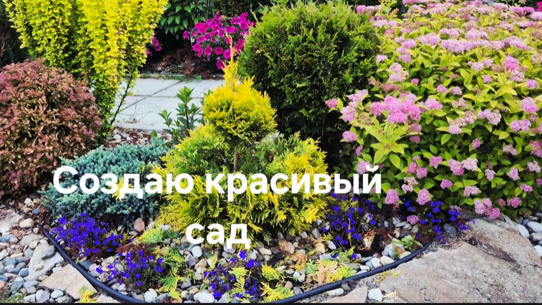 Обзор сада и огорода. Создаю красивый сад. Размножаю и формирую пузыреплодники. смотреть онлайн