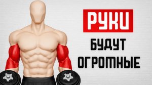 3 лучших упражнения для БОЛЬШИХ РУК: Бицепс, Трицепс и Брахиалис