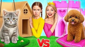 Строим Секретные Домики для Животных | Богатая Собака vs Бедная Кошка
