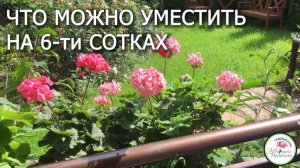 В МАЛЕНЬКОМ САДУ