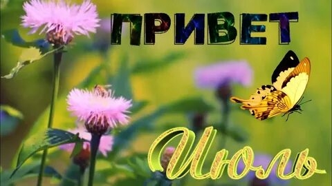 Солнце-жара-июль! С первым днём июля. Красивая музыкальная открытка.