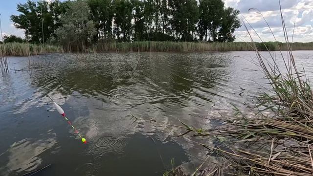 Рыбалка на карася, ловля рыбы на удочку