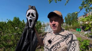 Как мы сажаем картошку особым / новым способом ОГОРОДНЫЕ ДЕЛА