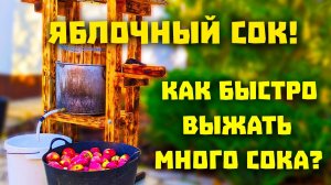 СОКОВЫЖИМАЛКА ДЛЯ ЯБЛОК. КАК СДЕЛАТЬ МНОГО ЯБЛОЧНОГО СОКА ЗА 10 МИНУТ!
