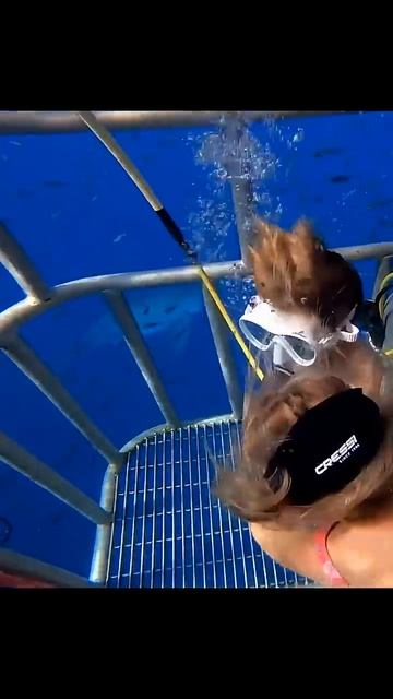 5 YR OLD Swims with GREAT WHITE SHARKS!!