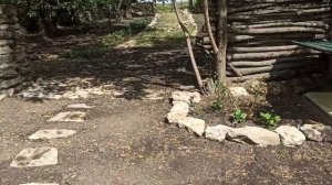15,16 июня 2024г.Мой дом.Приехал диван,Продолжила делать дорожку.