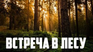 Страшные истории - Встреча в лесу