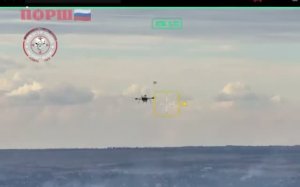 🔴Красивое уничтожение птичек врага🤙🇷🇺🤙🔴