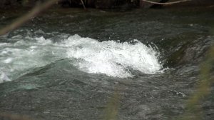 ЛЮДИ ГИБНУТ НА ВОДЕ
