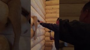 Конопатка бани