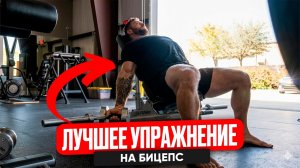 КАК НАКАЧАТЬ ОГРОМНЫЕ РУКИ? КРИС БАМСТЕД