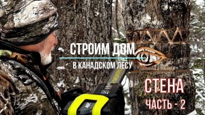 Строим дом в Канадском лесу - ( часть 2 «СТЕНА» )