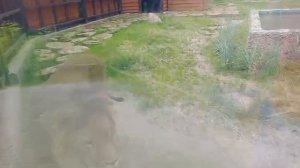 JYUQ6674-29.06.2026-видео от Ивана