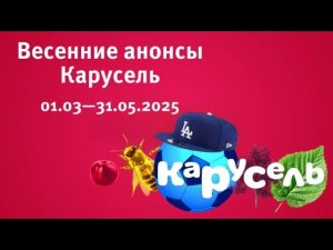 Оформление Карусель весна 2025