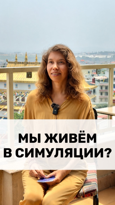 МЫ ЖИВЁМ В СИМУЛЯЦИИ?