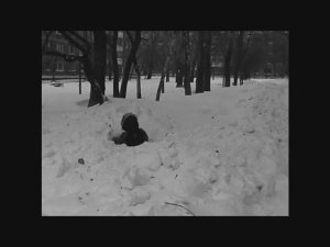 Держись братка,брат держись.