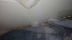 Haier unsuccessful foam extraction!