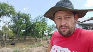 Итог: сколько я заработал на цыплятах, строю сарай, работа по хозяйству.