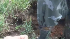 Брошенный шурф. Из ямы много интересных находок.