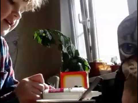Возможно ли сделать лизуна из клея ПВА...Фирмы,,attache" смотреть онлайн